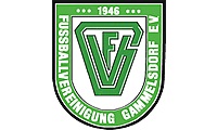 logo FVGG
